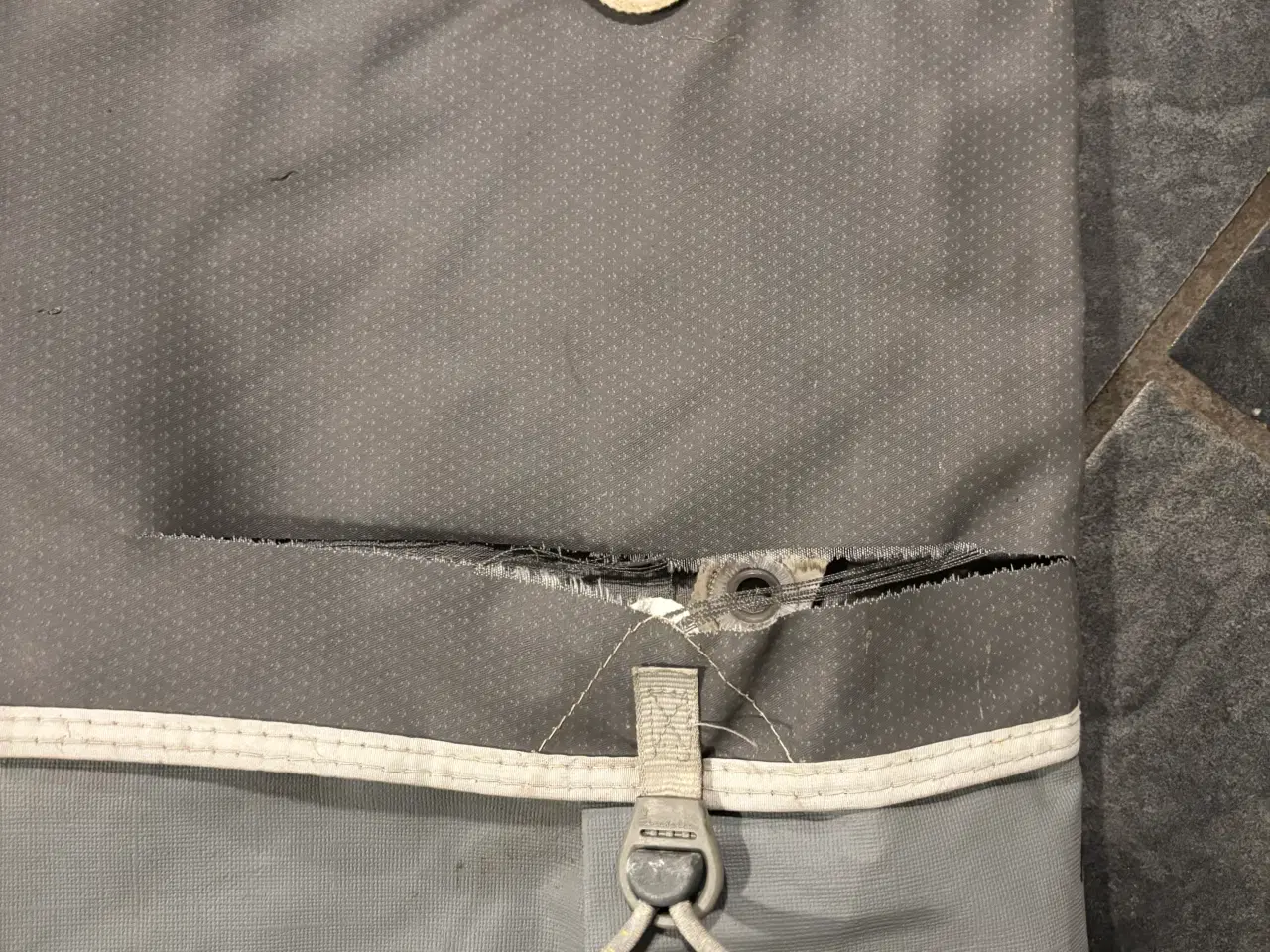 Billede 1 - Isabella Commodore fra 2013 A-mål 1025