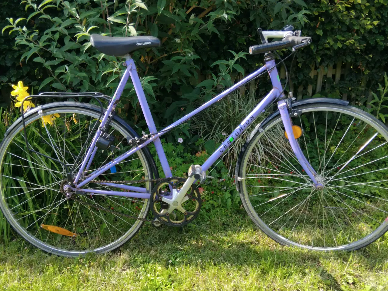 Billede 2 - Centurion mixte 