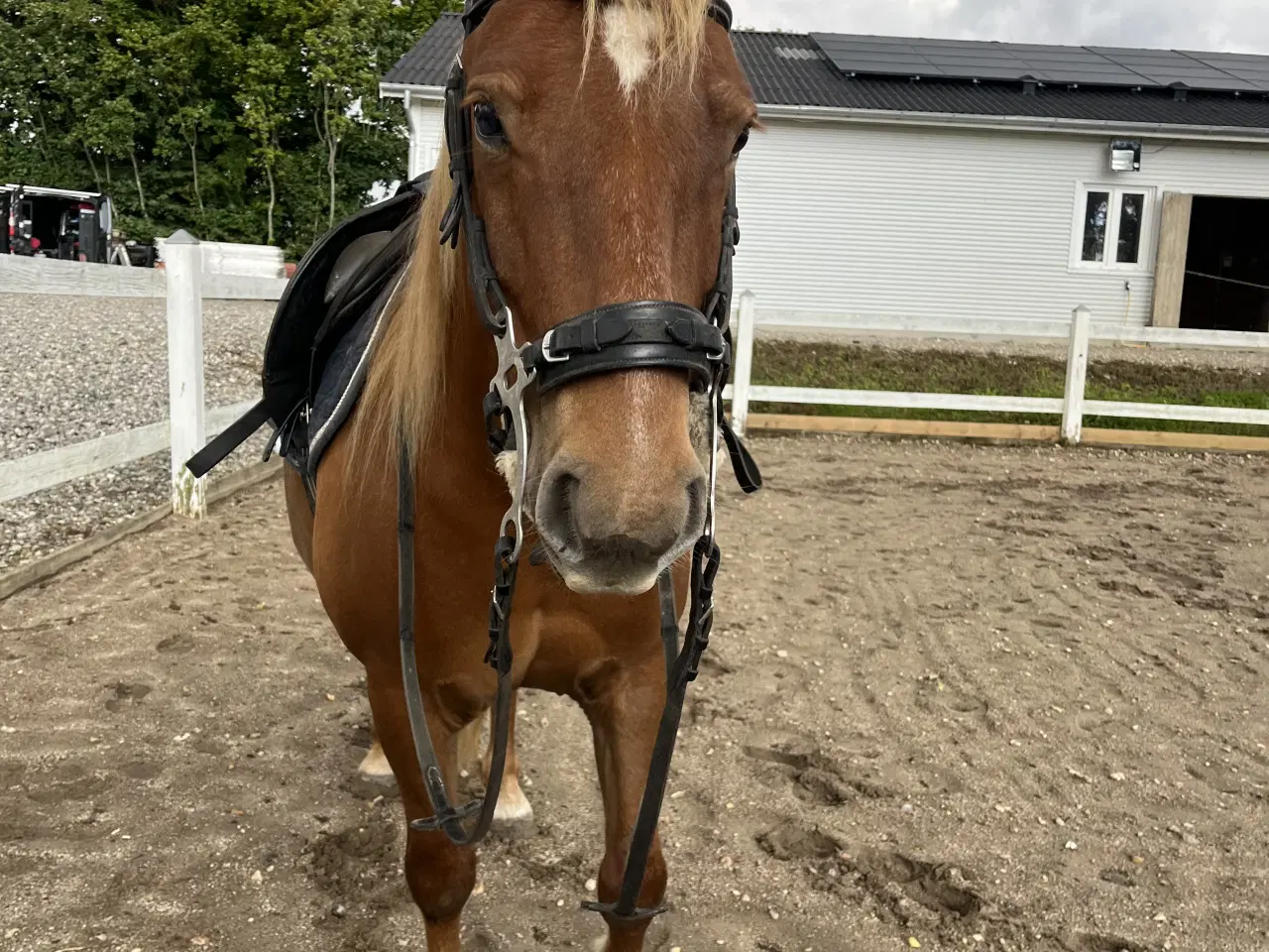 Billede 3 - Hurtigt salg ønskes 