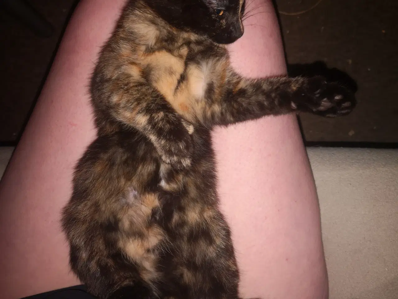 Billede 3 - 1dreng og 1pige tilbage. 