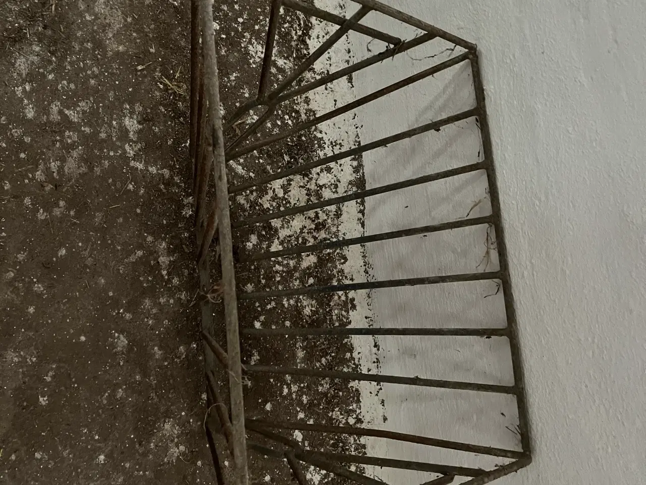 Billede 1 - Hø hække