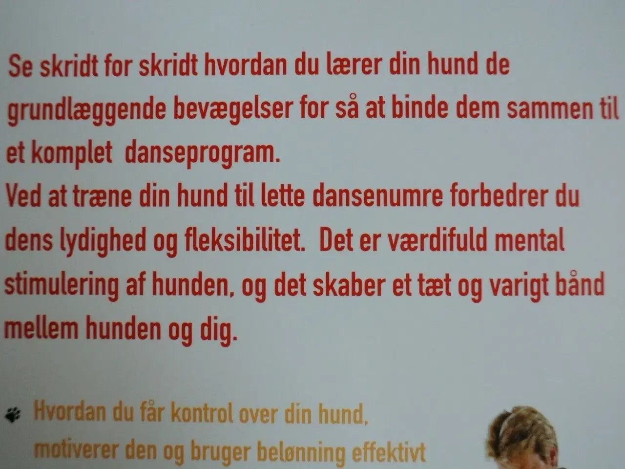 Billede 3 - dans med din hund - lette og sjove øvelser for dig