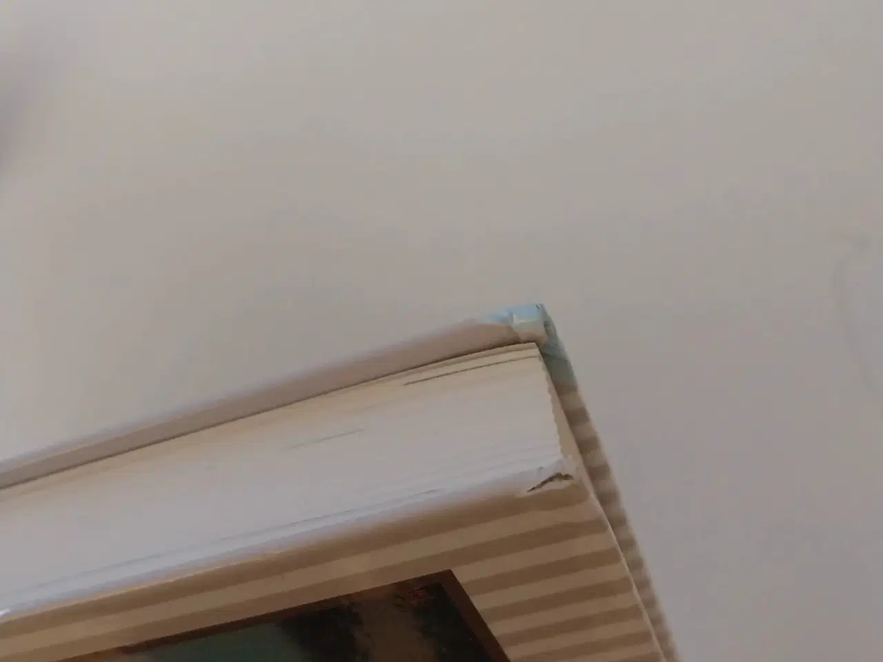 Billede 4 - Karlas Kamp -