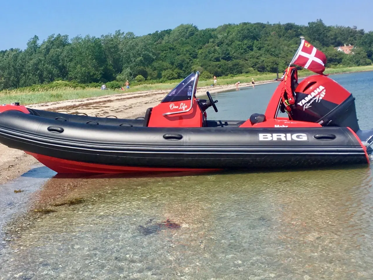 Billede 2 - Brig E5 Eagle Luksus Rib