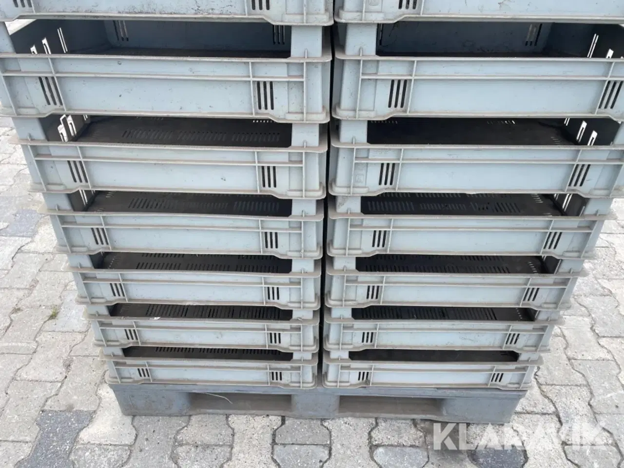 Billede 11 - Spirrekasser Okopak 100 paller 4800styk