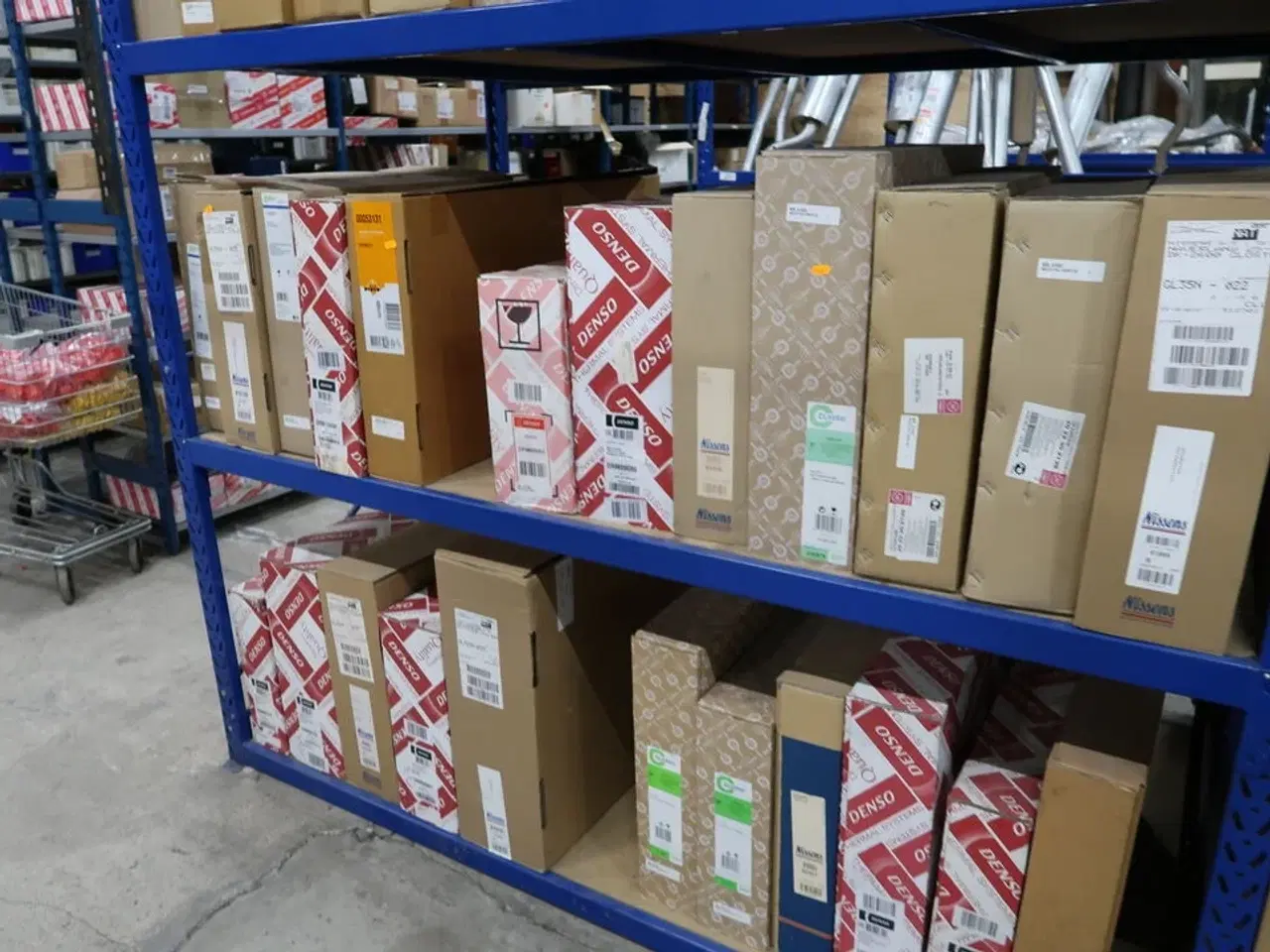 Billede 10 - Indhold i reol