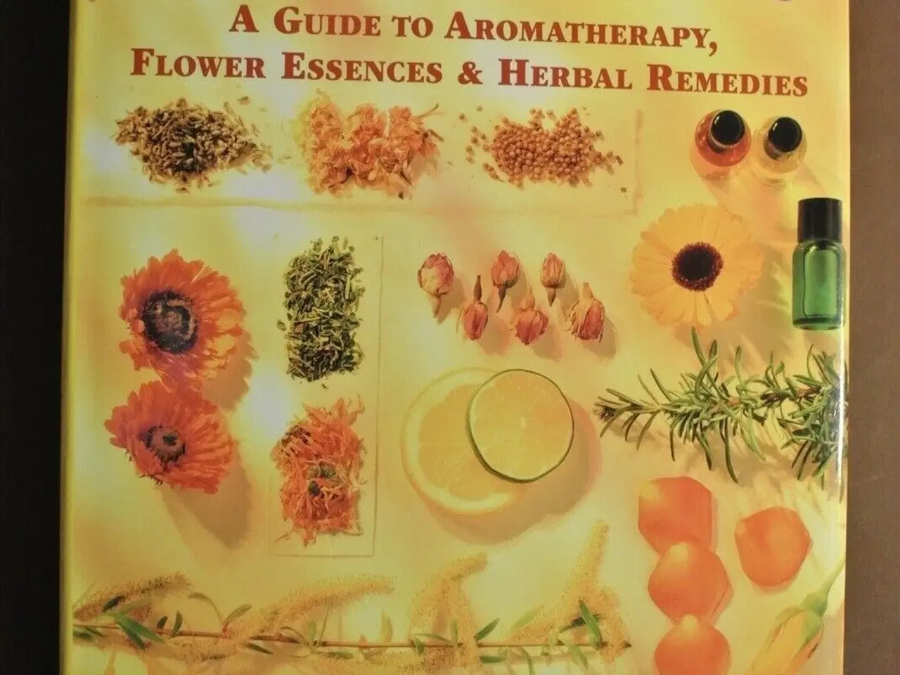 Billede 1 - the encyclopedia of healing plants, by chrissie wi