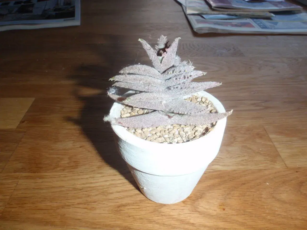 Billede 4 - Kunstige kaktusser