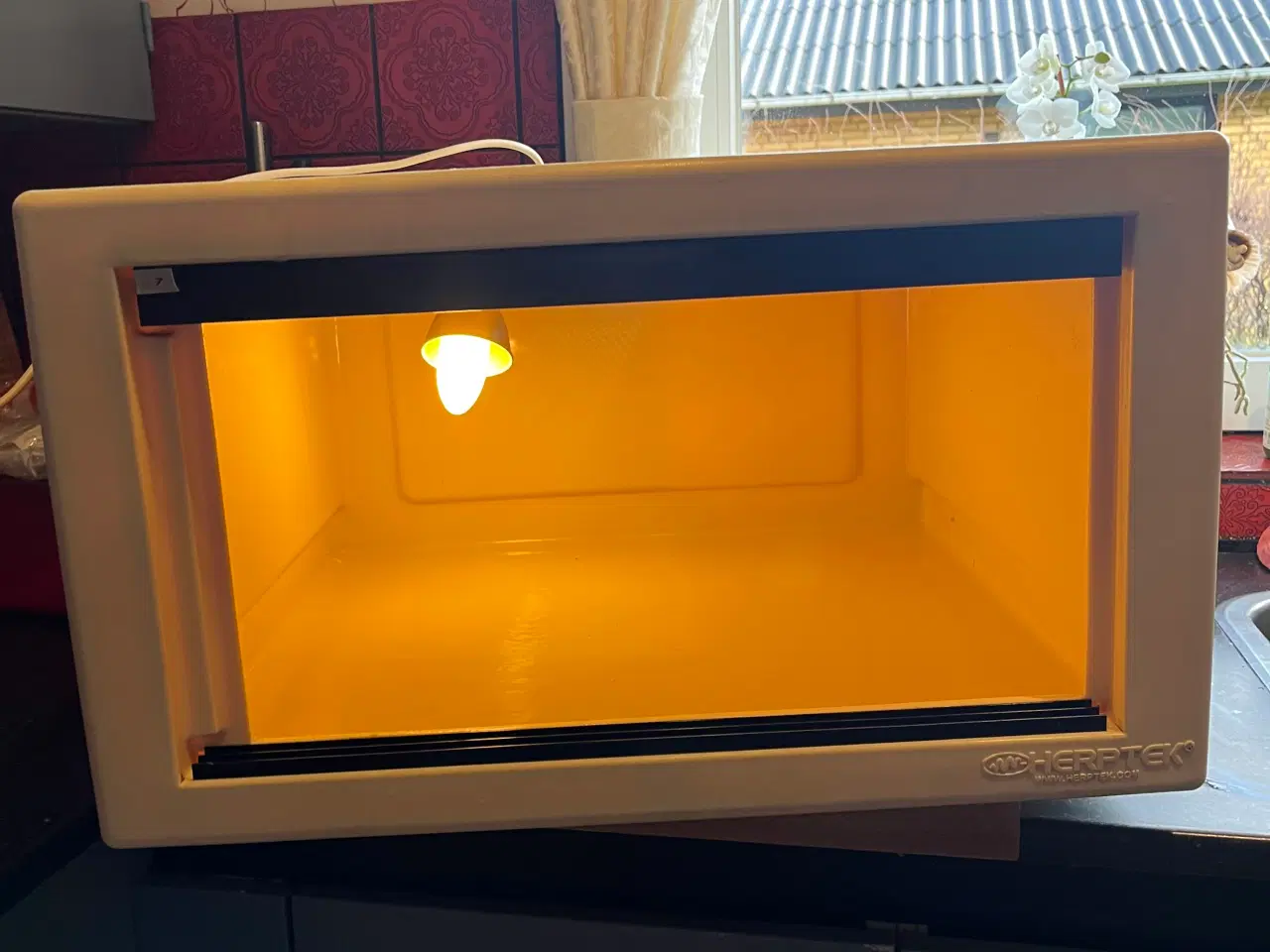 Billede 1 - Terrarier