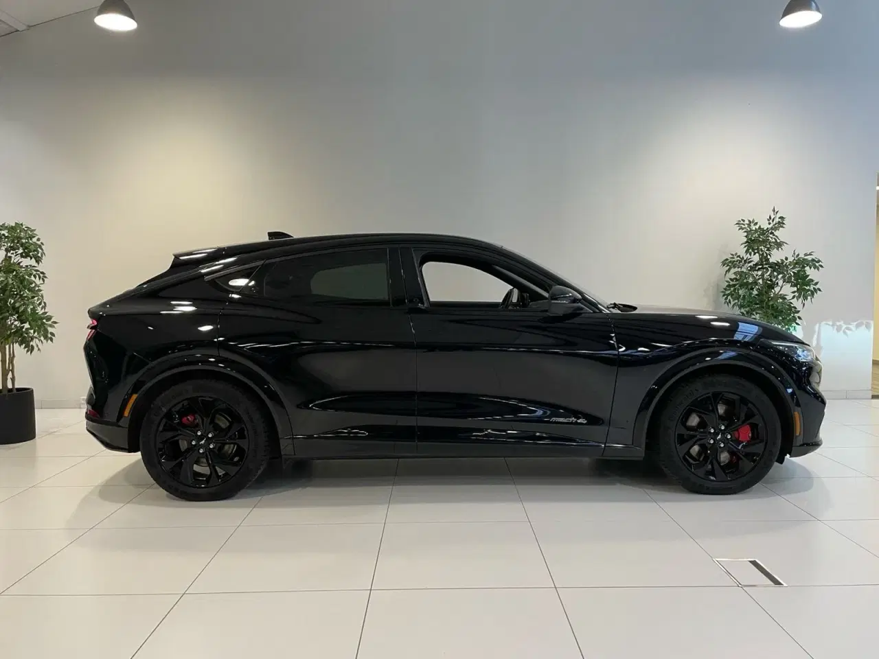 Billede 2 - Ford Mustang Mach-E 70 Premium Standard Range AWD