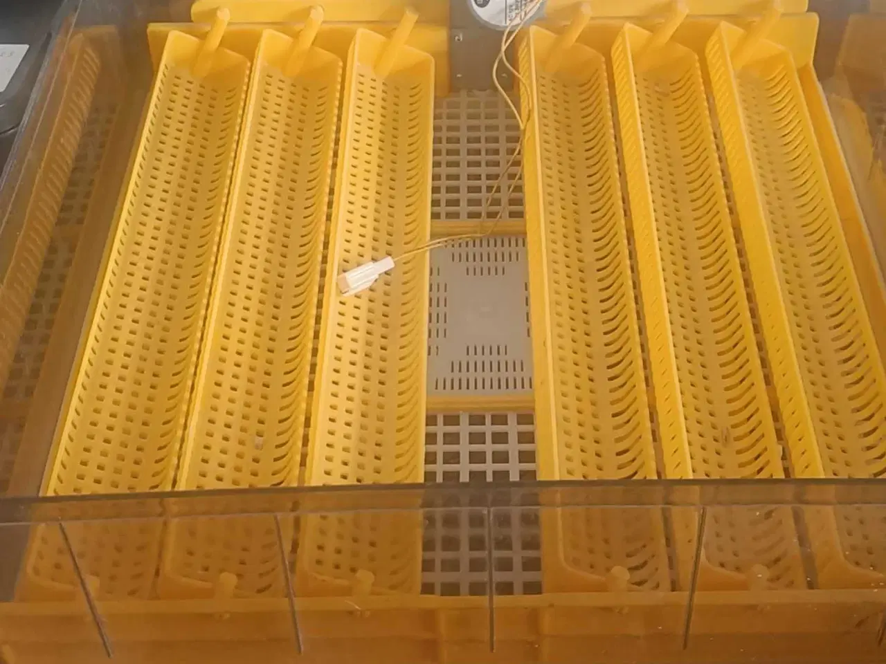 Billede 4 - Rugemaskine janoel 