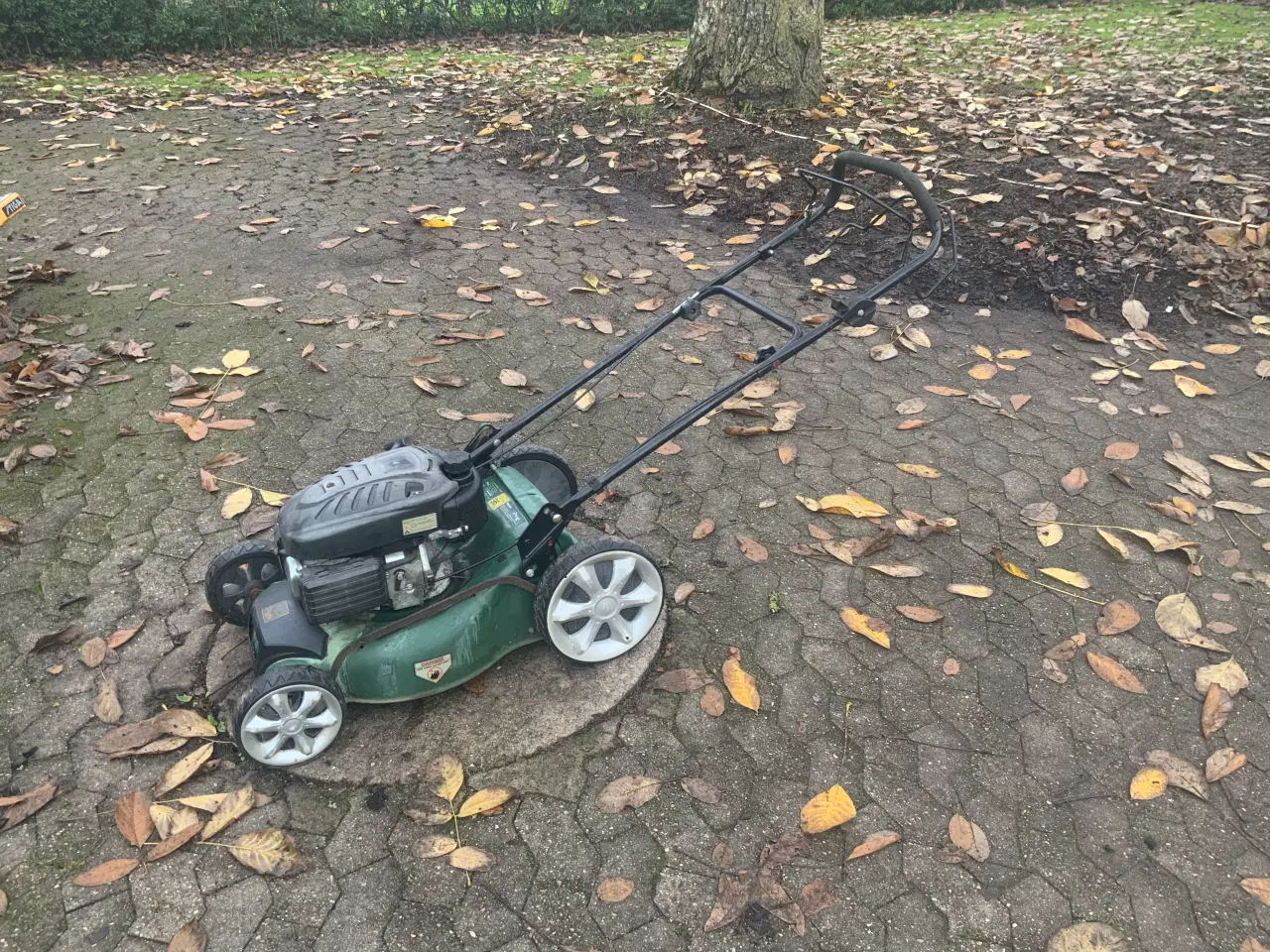 Billede 4 - Park rotorklipper