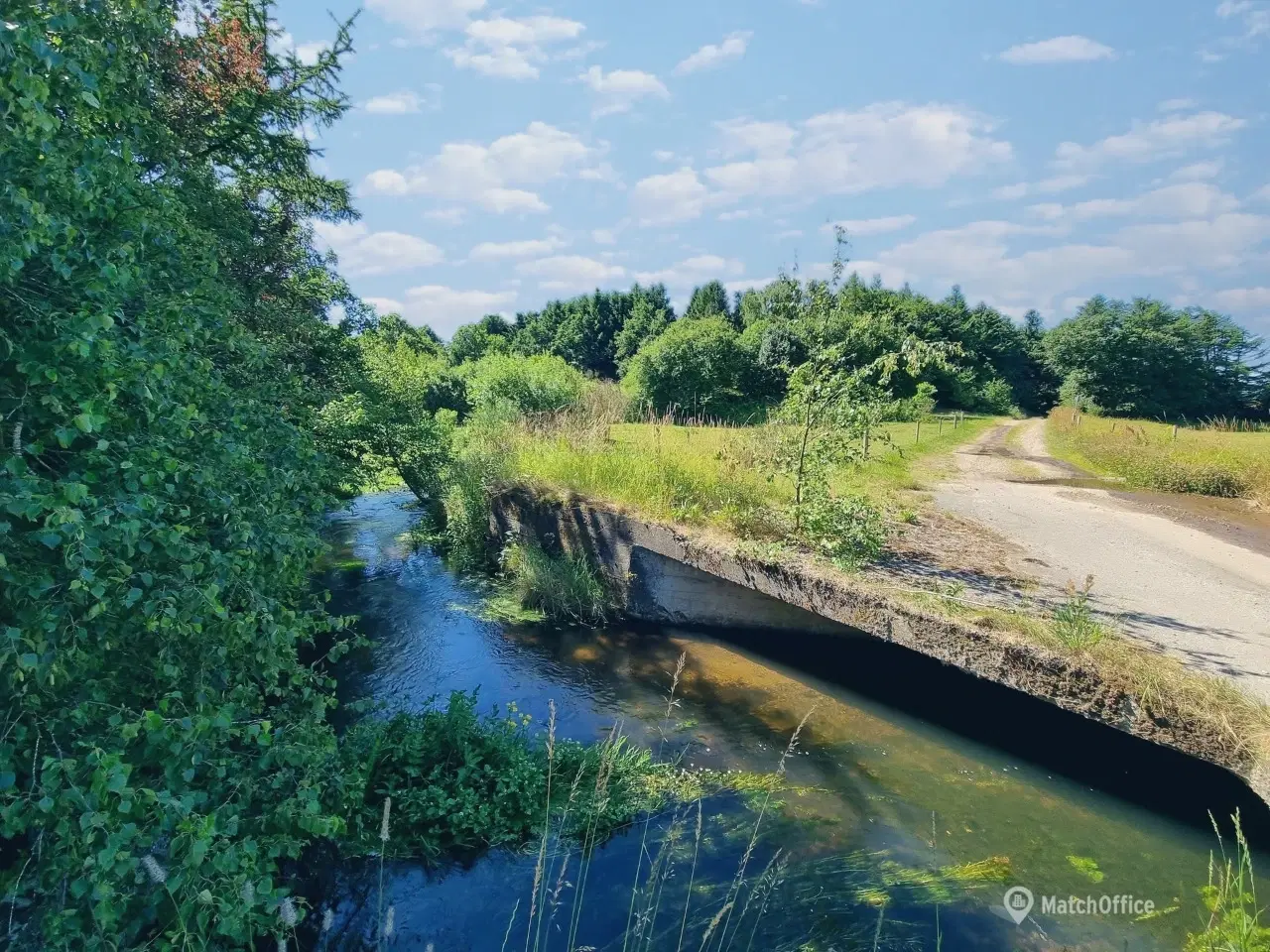 Billede 2 - 800 kvm koldlager udlejes