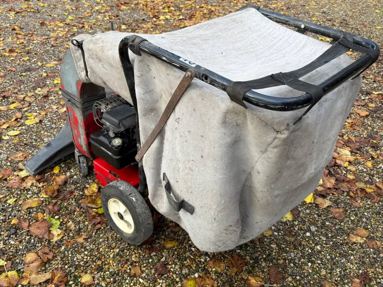 Billede 2 - Yardman løvsuger og løvopsamler