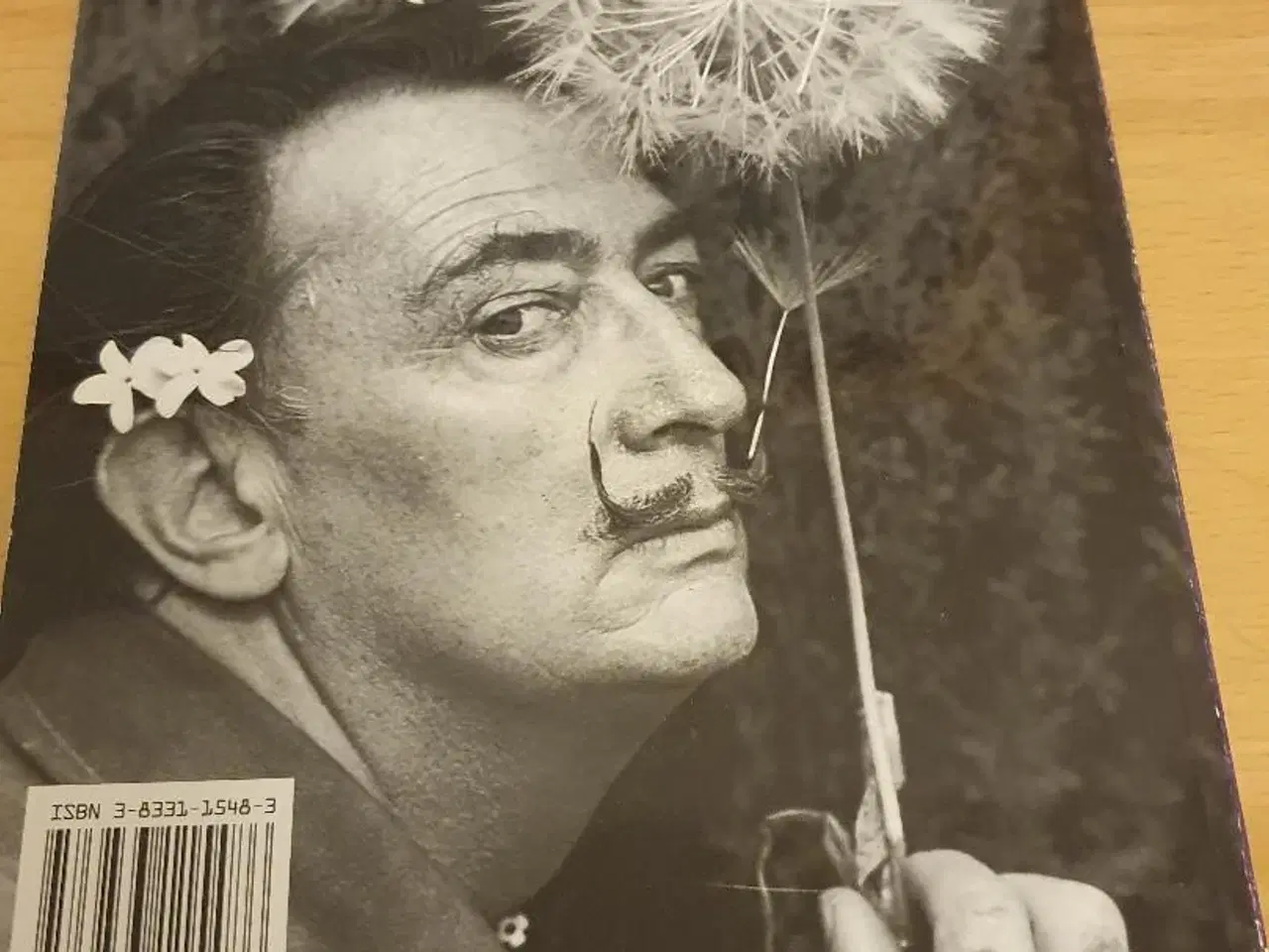 Billede 2 - Dali en kunstguide