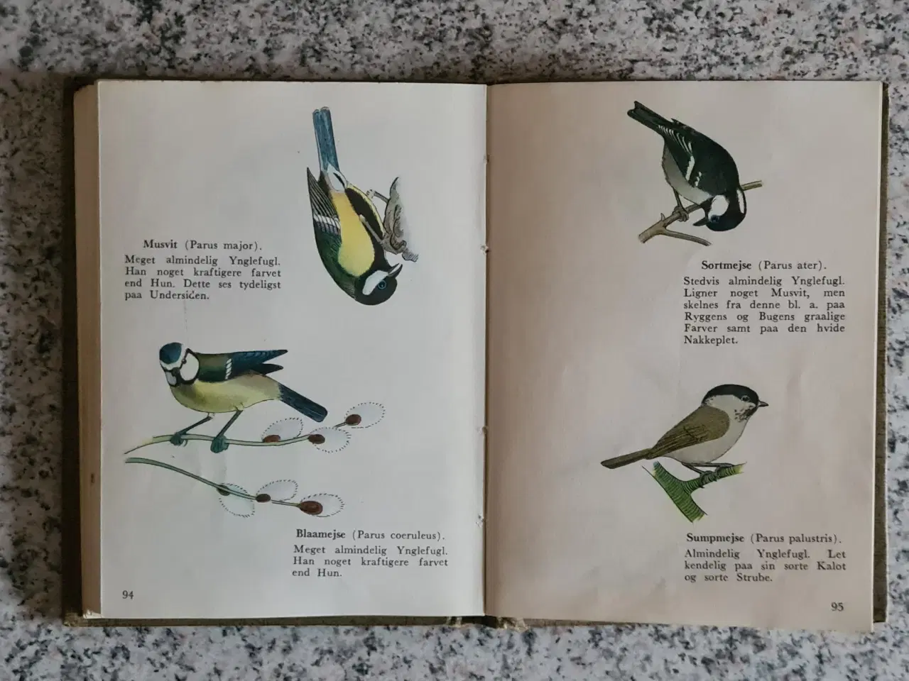 Billede 6 - Fugle Atlas over danske fugle