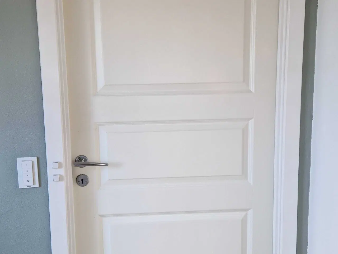 Billede 1 - Swedoor fyldningsdør