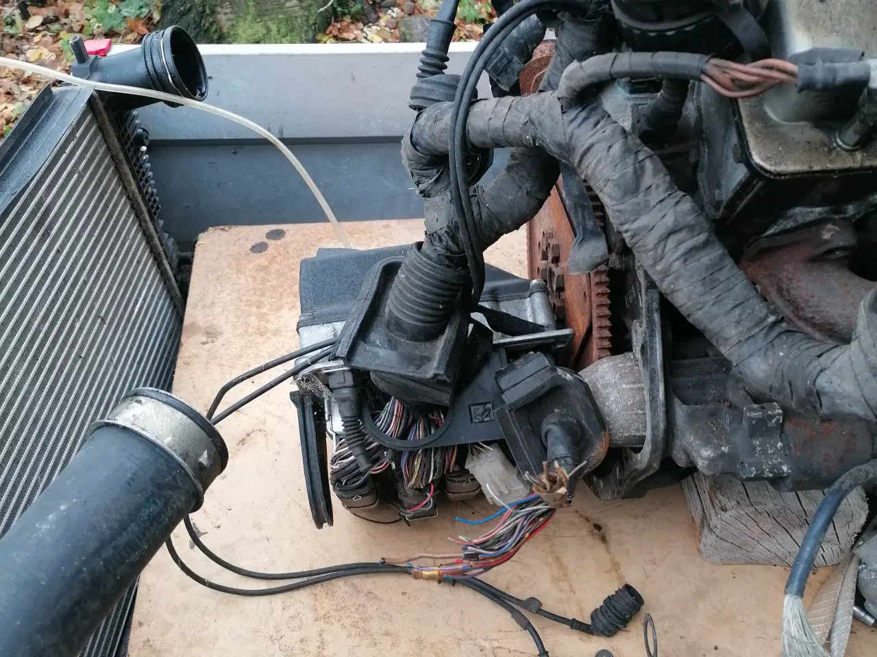 Billede 10 - BMW Motor V12 cylinder 