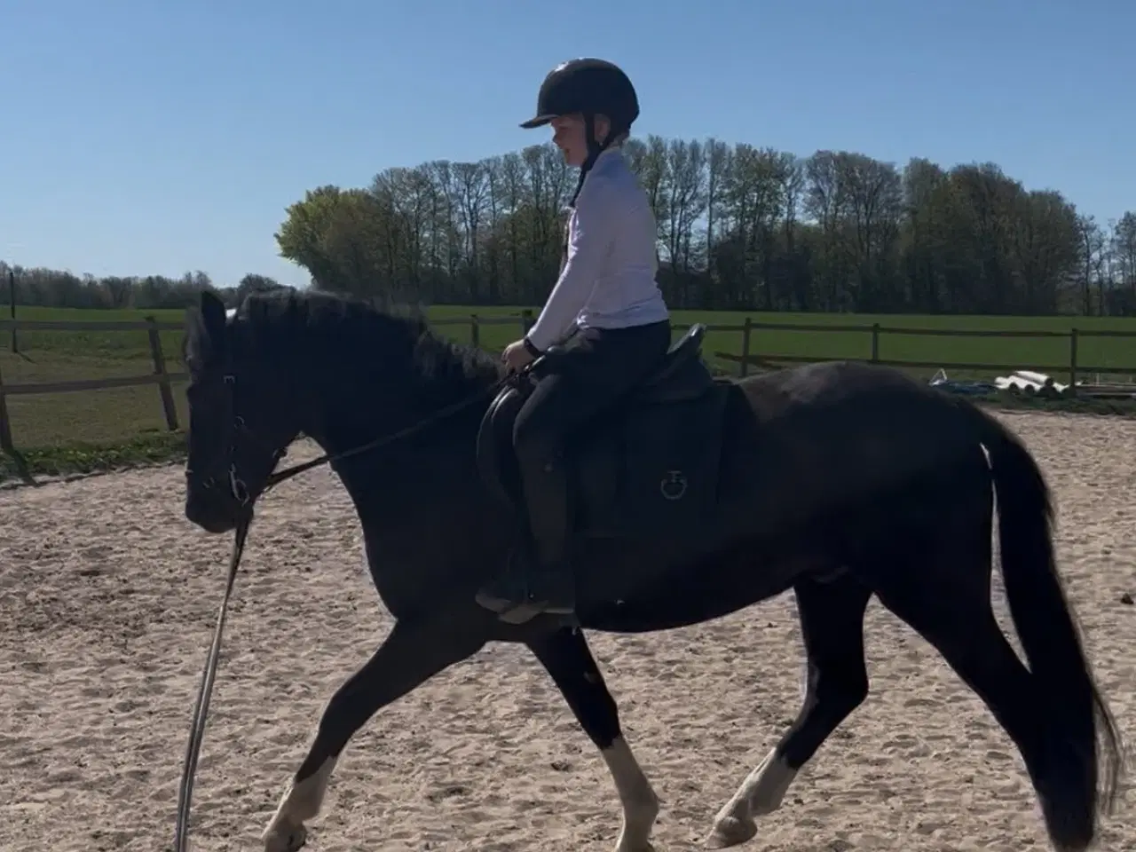Billede 7 - Alle elsker Edward,  store som små❤️