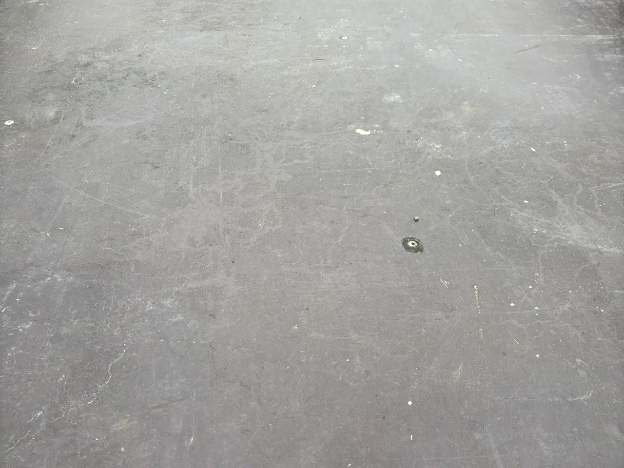 Billede 5 - Boogietrailer.