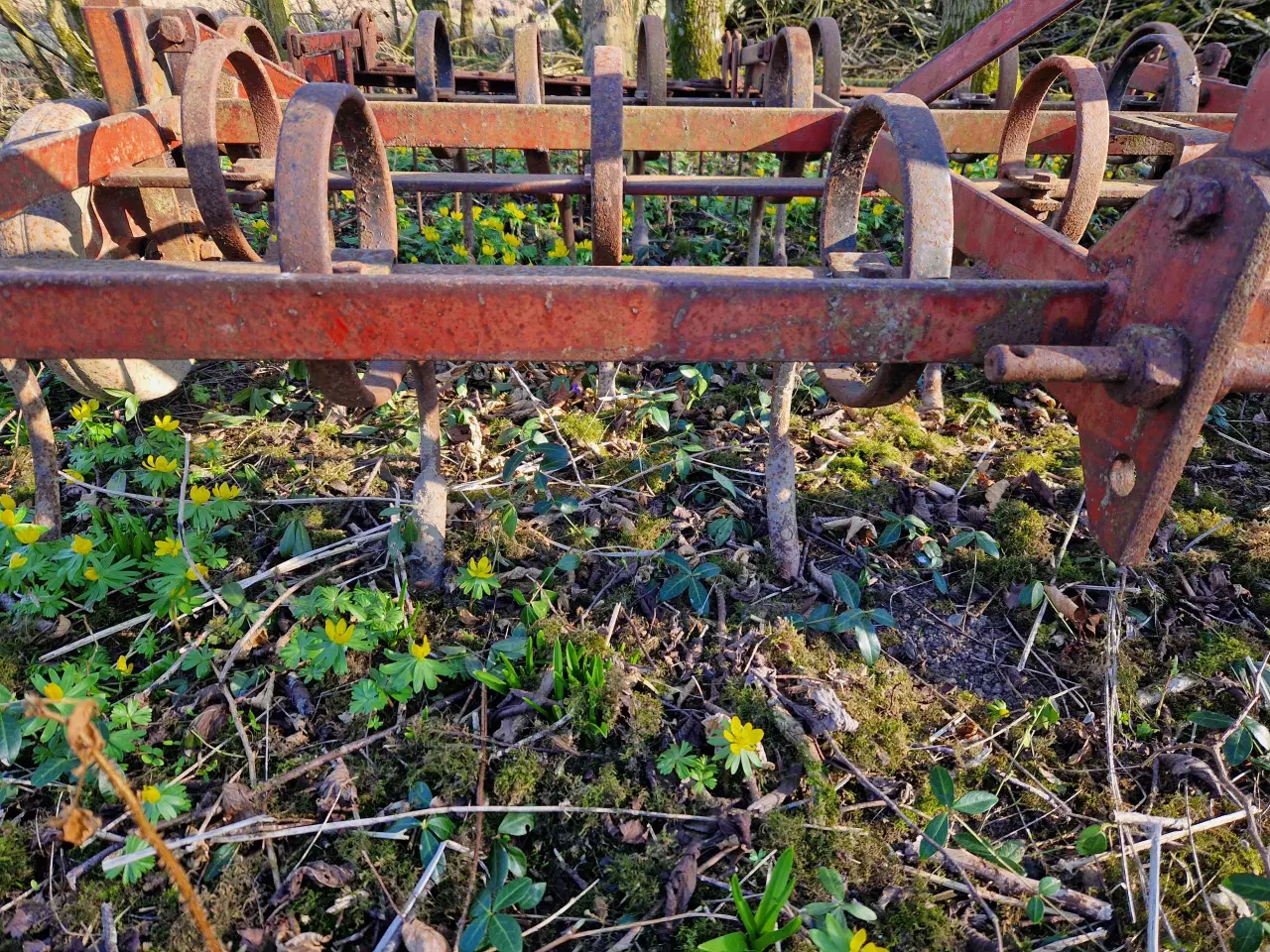 Billede 6 - Kongskilde harve 2,9m