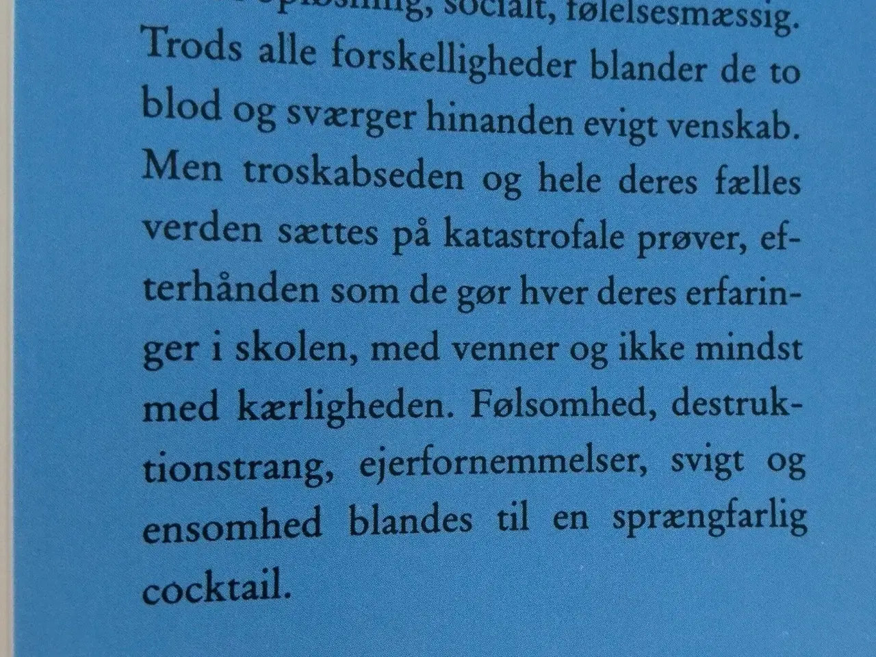 Billede 2 - Skærsommer. Af Aage brandt