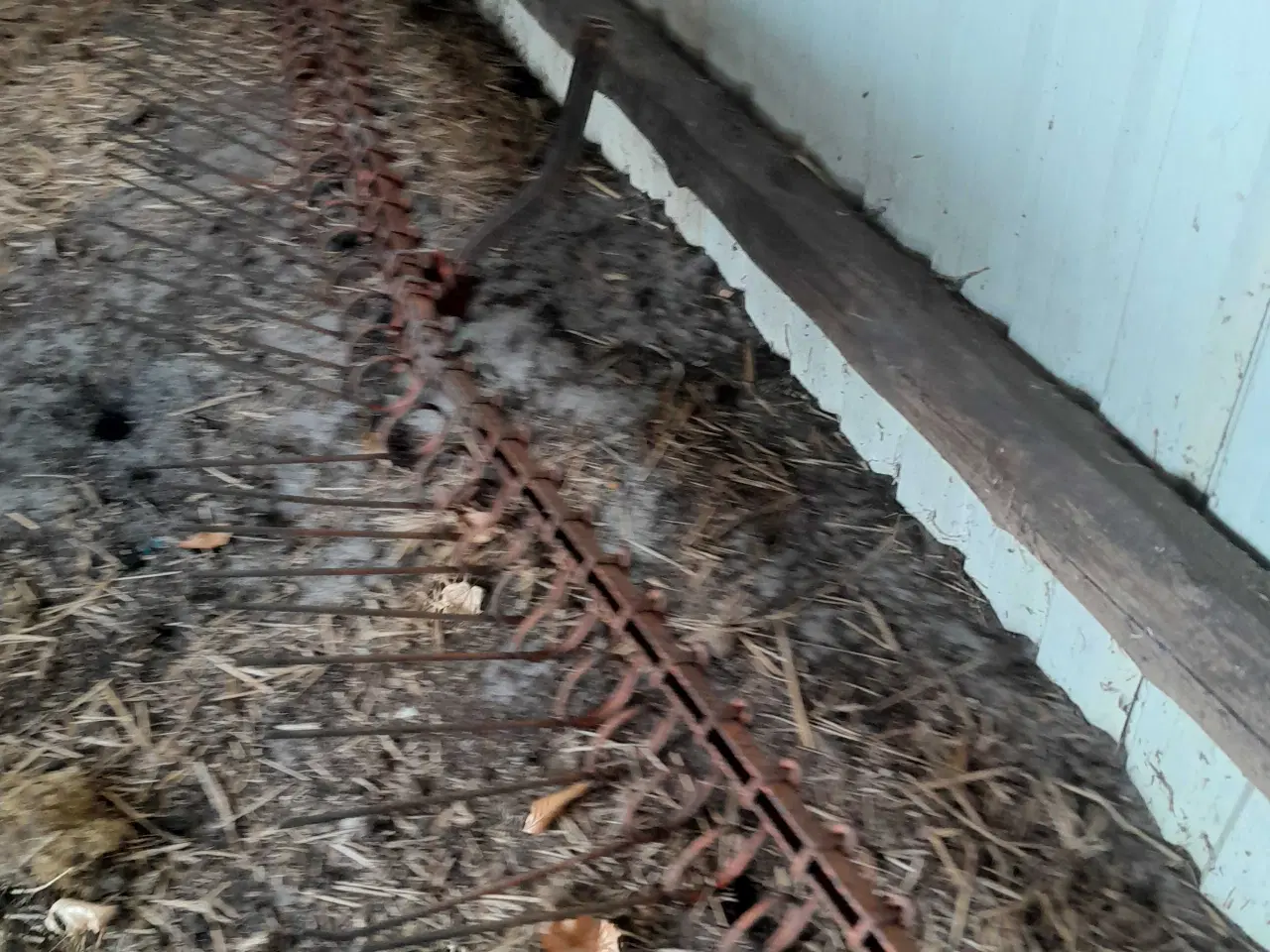 Billede 2 - Såmaskiner med indstillede harver og trykrulle, so