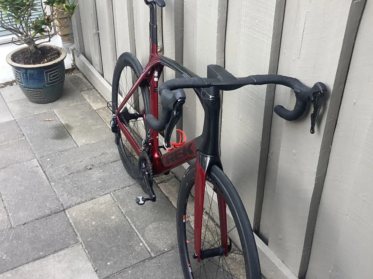 Billede 4 - Trek Madone SLR 8 (2019)