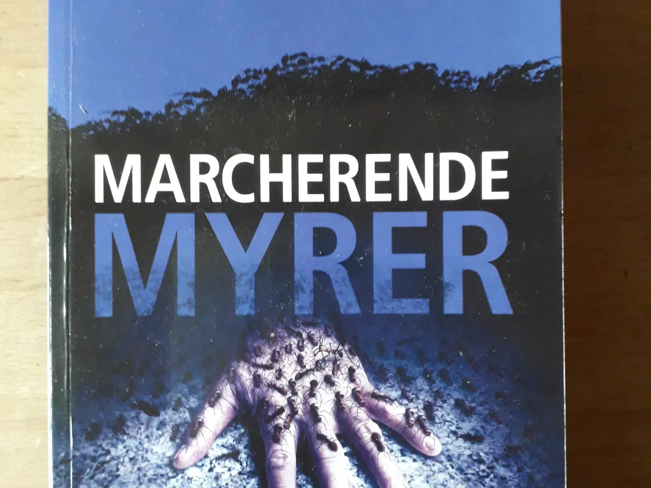 Billede 1 - Marcherende myrer