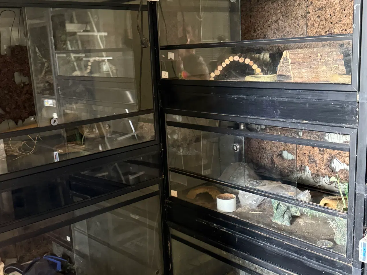 Billede 2 - Stor terrarie-reol med 7 terrarier og masser af ud