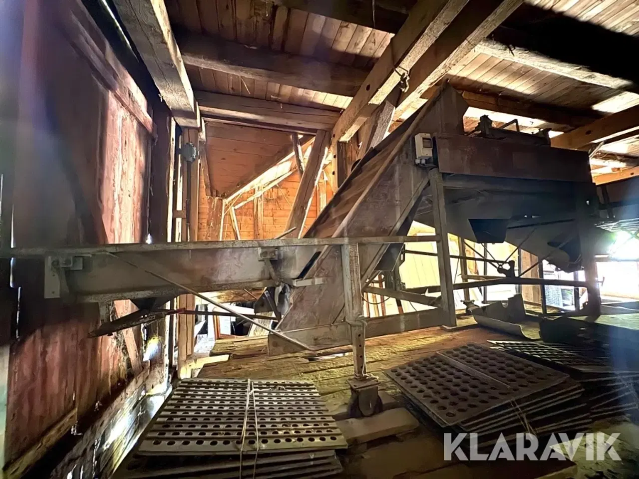 Billede 1 - Sorteringsanlæg til løg Langco DR6B7