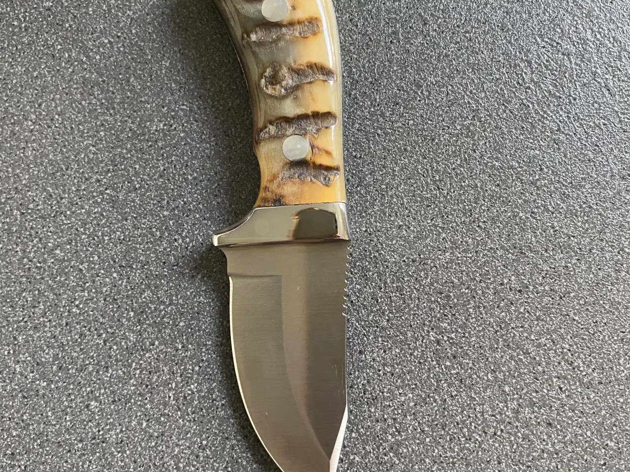Billede 3 - Sauer muflon Jagtkniv