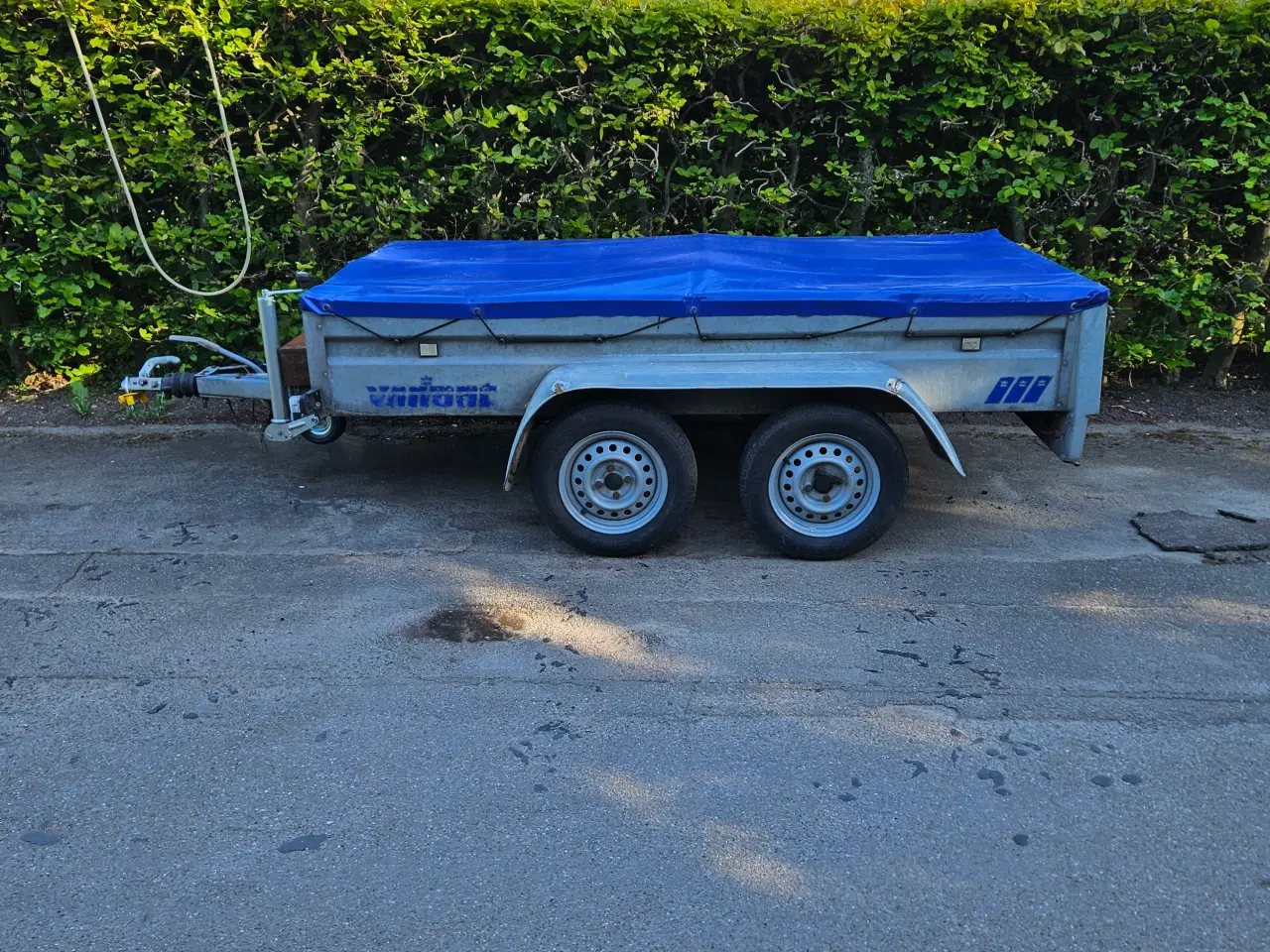 Billede 1 - 1000 kg trailer variant boogie