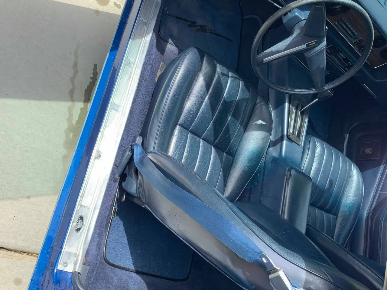 Billede 13 - Pontiac Firebird 1980