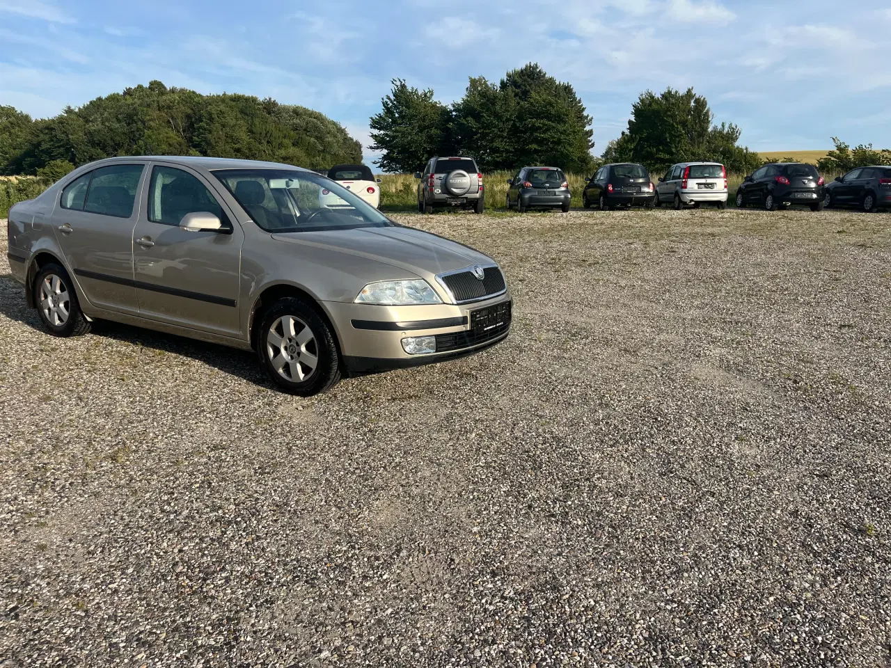 Billede 4 - SKODA   OCATAVIA ÅRG 05