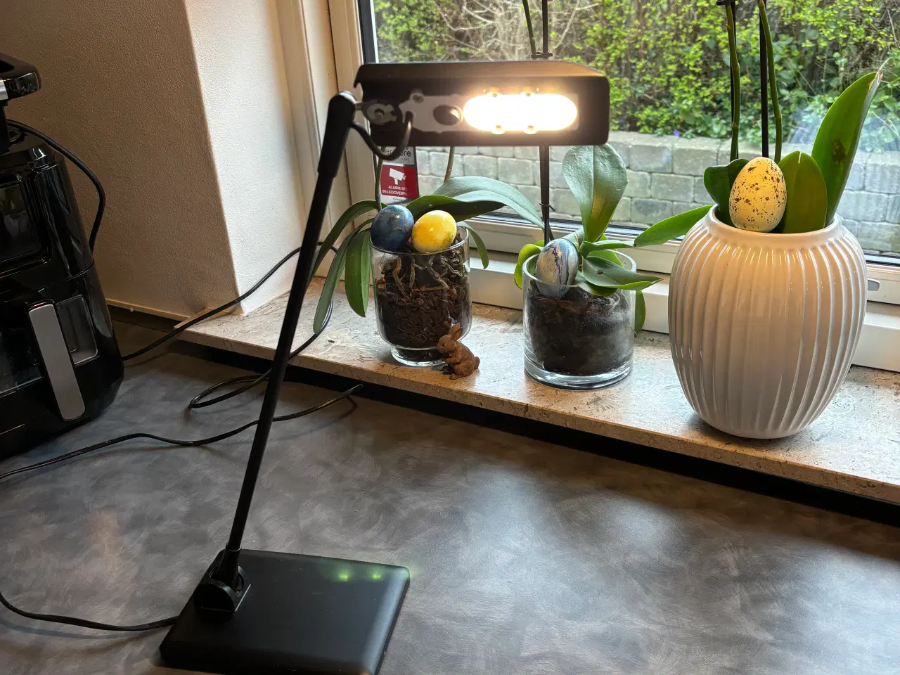 Billede 2 - Luxo Terea LED bordlampe, sort 