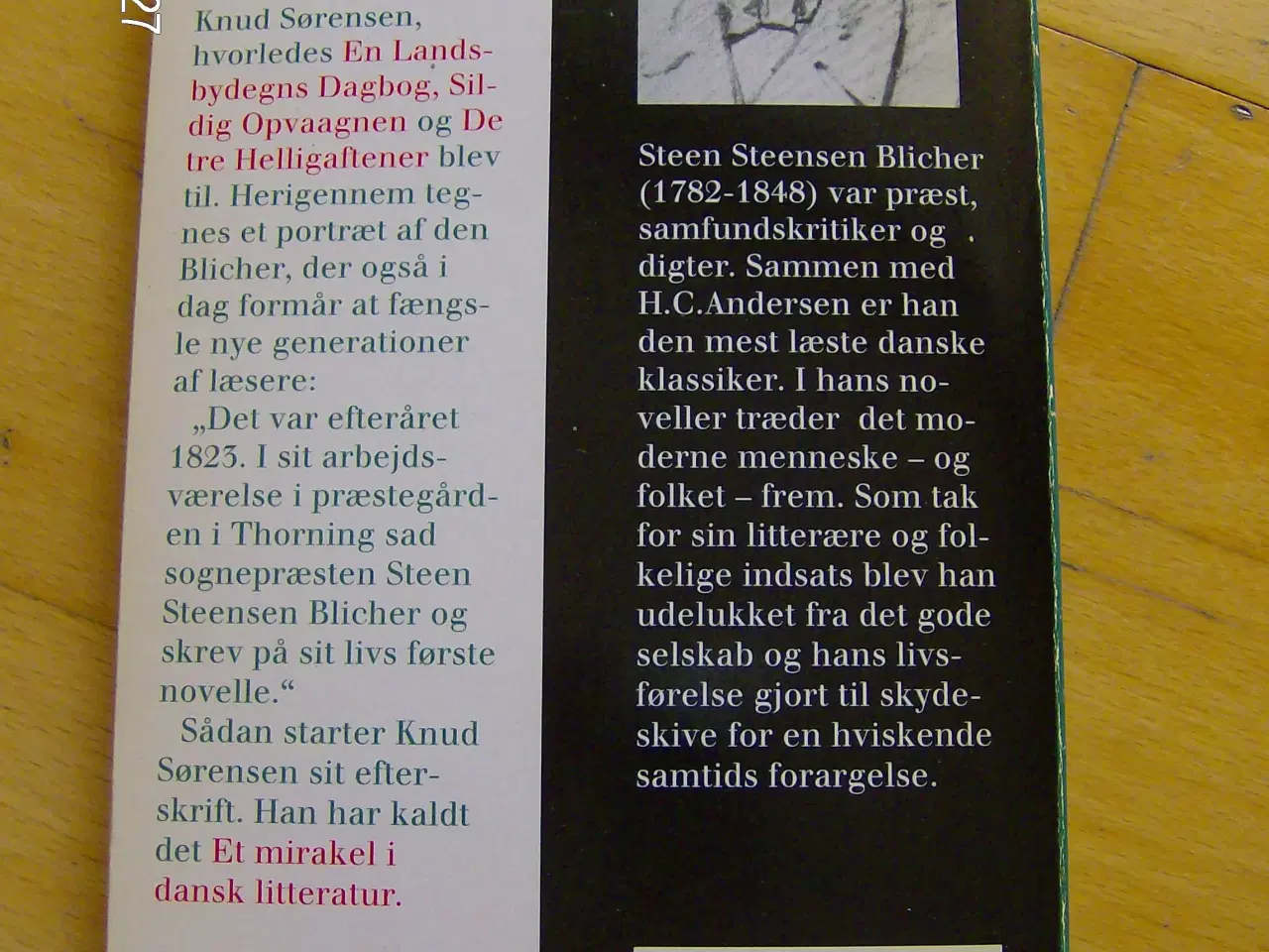 Billede 2 - En Landsbydegns Dagbog