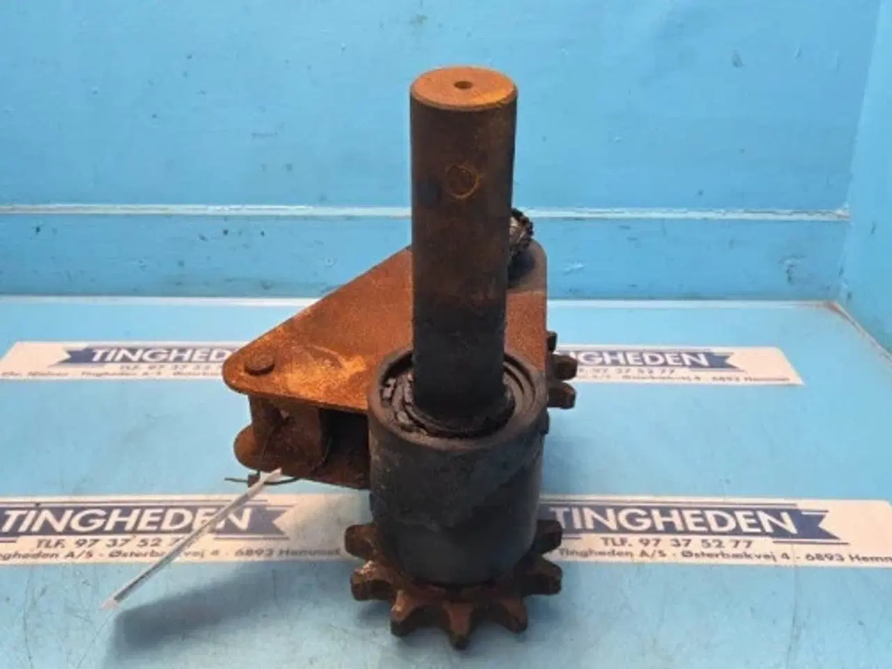 Billede 15 - Claas Variant 385 Tandhjul 8434351