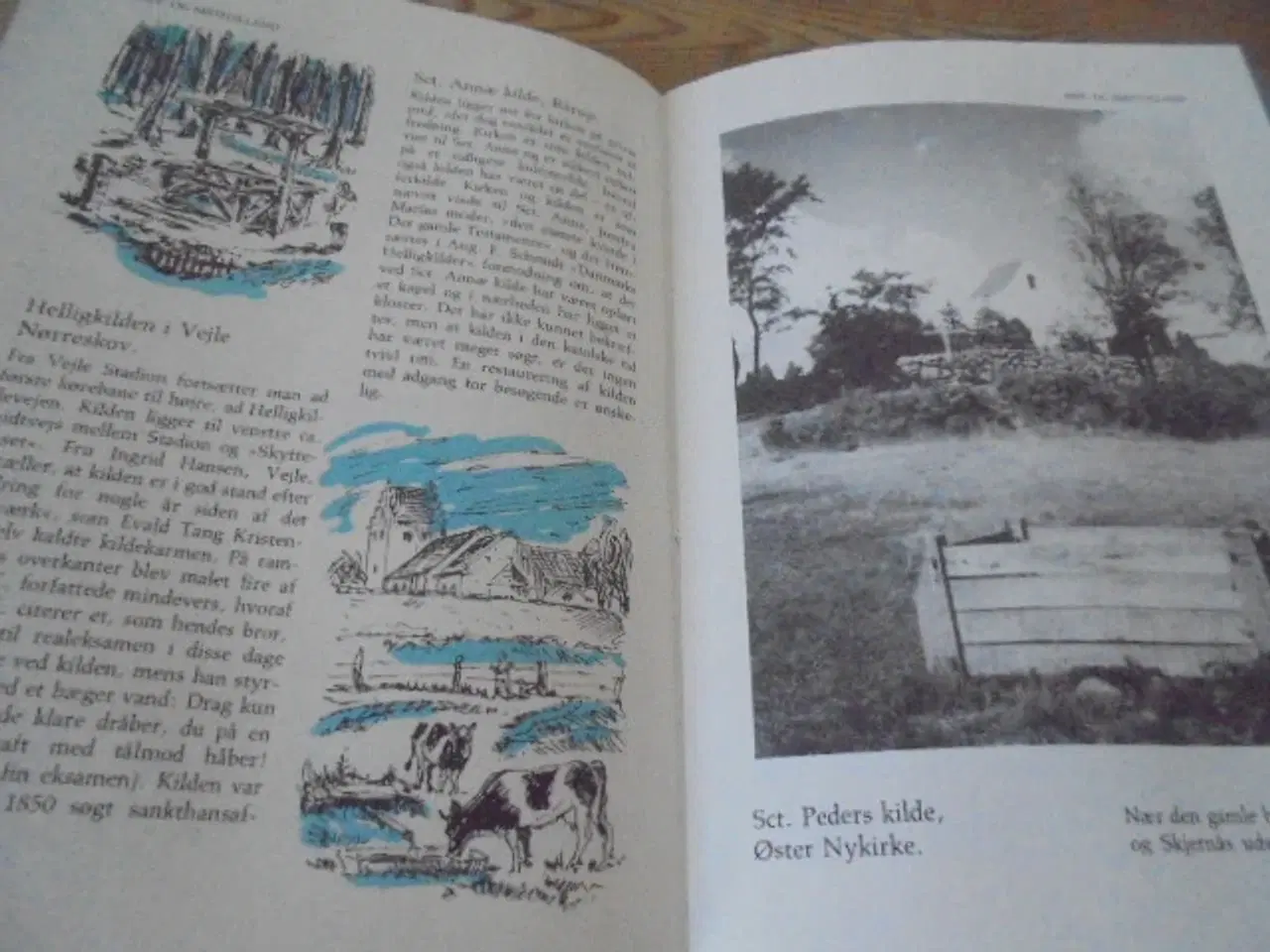 Billede 4 - 100 danske helligkilder – Siegfred Svane