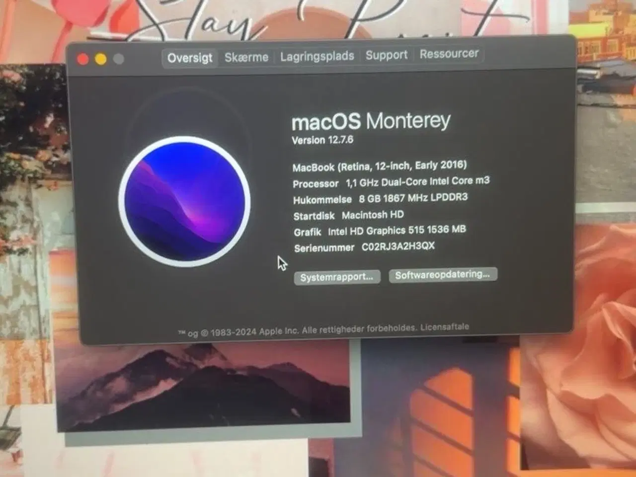 Billede 3 -  MacBook 12"  