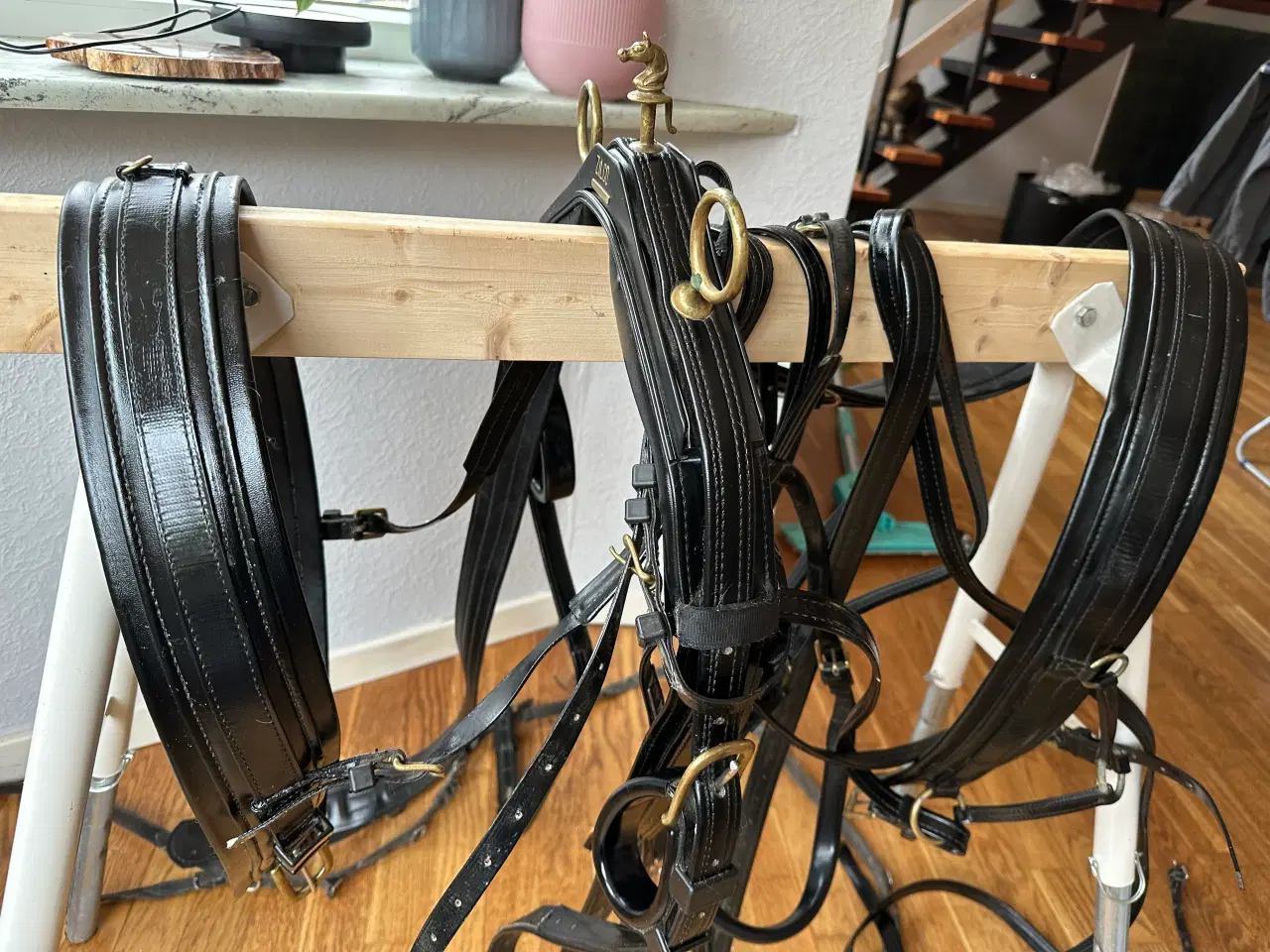 Billede 1 - Zilco sele meget fancy