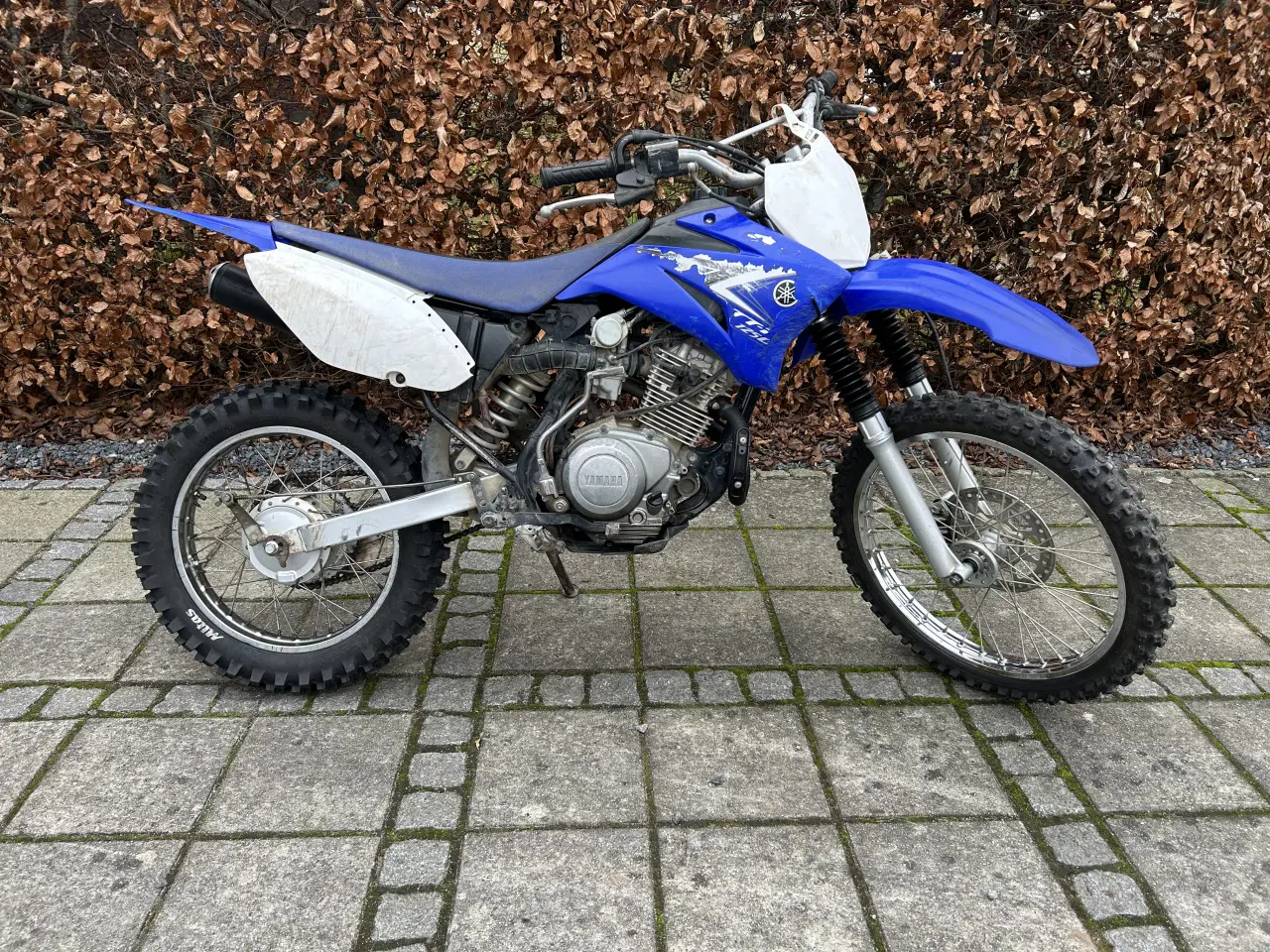 Billede 3 - Yamaha TTR 125