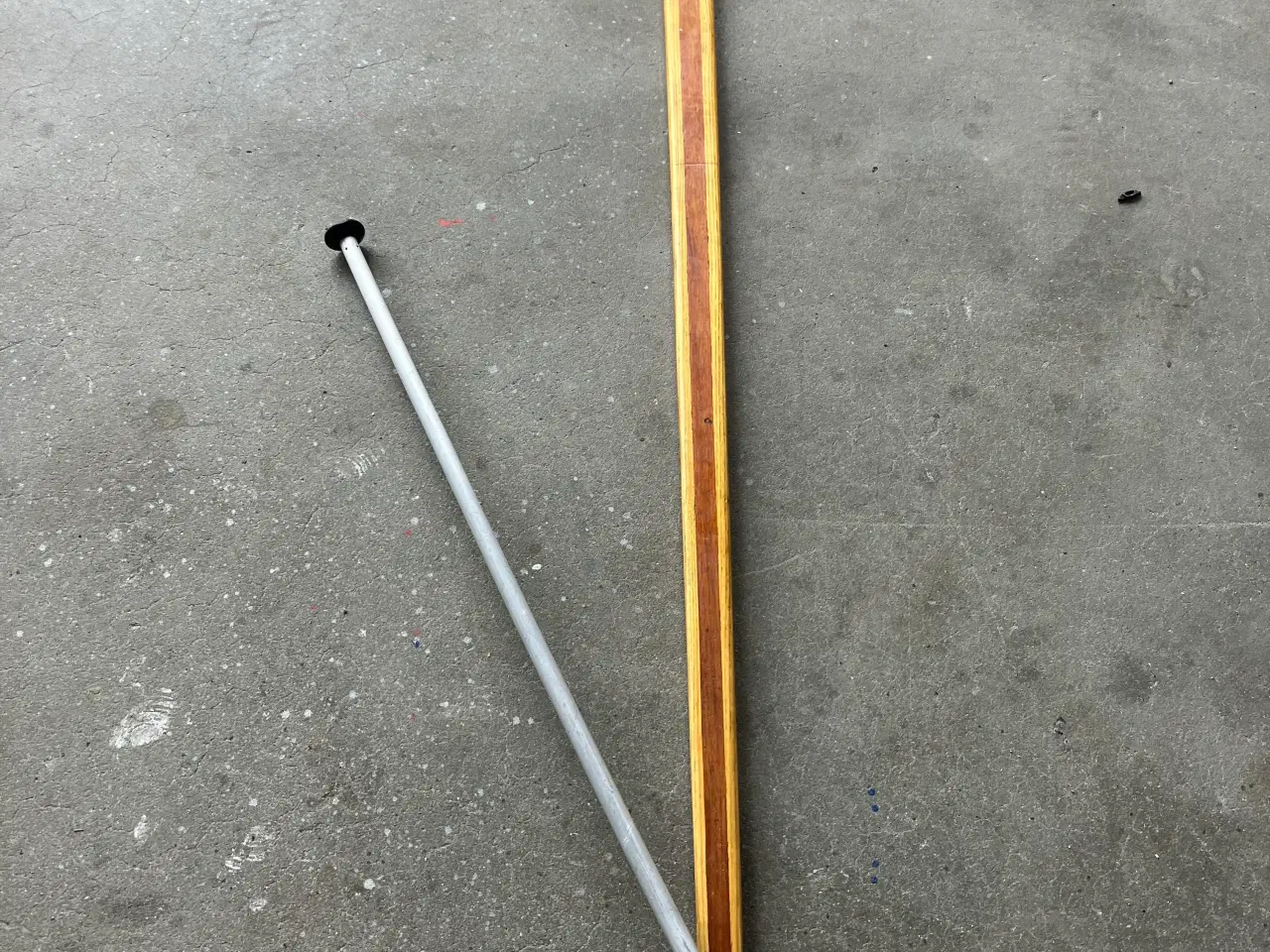 Billede 1 - Rotstang