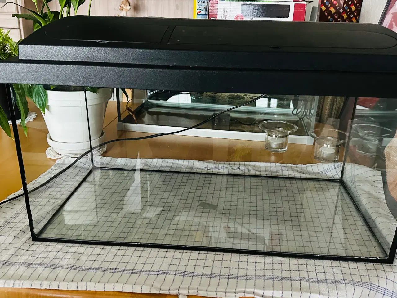 Billede 1 - 3 stk 54L akvarier, det ene fra Tetra. 