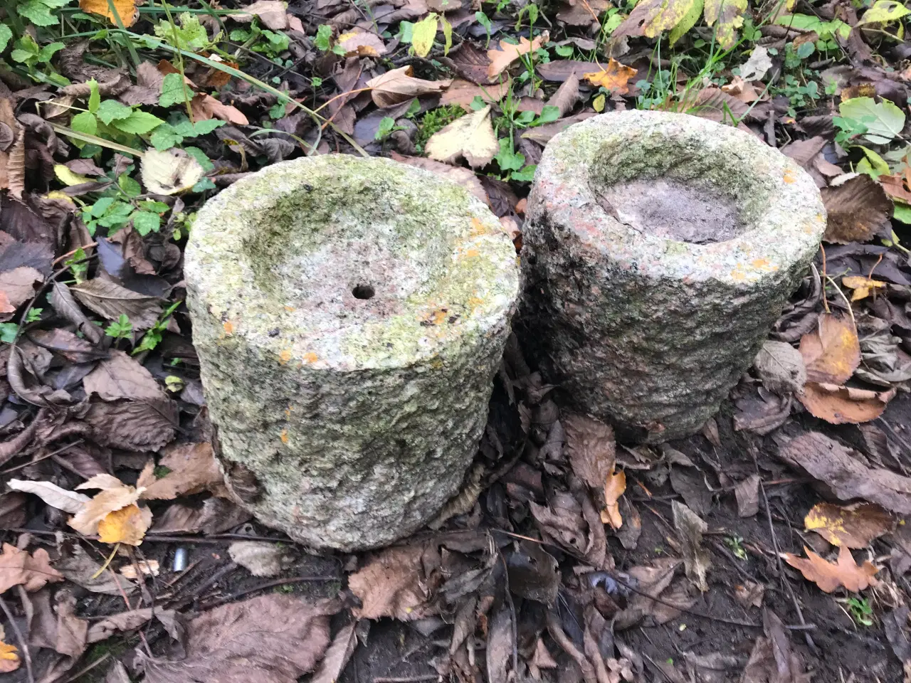 Billede 3 - Granit Fuglebad ellers før Planter