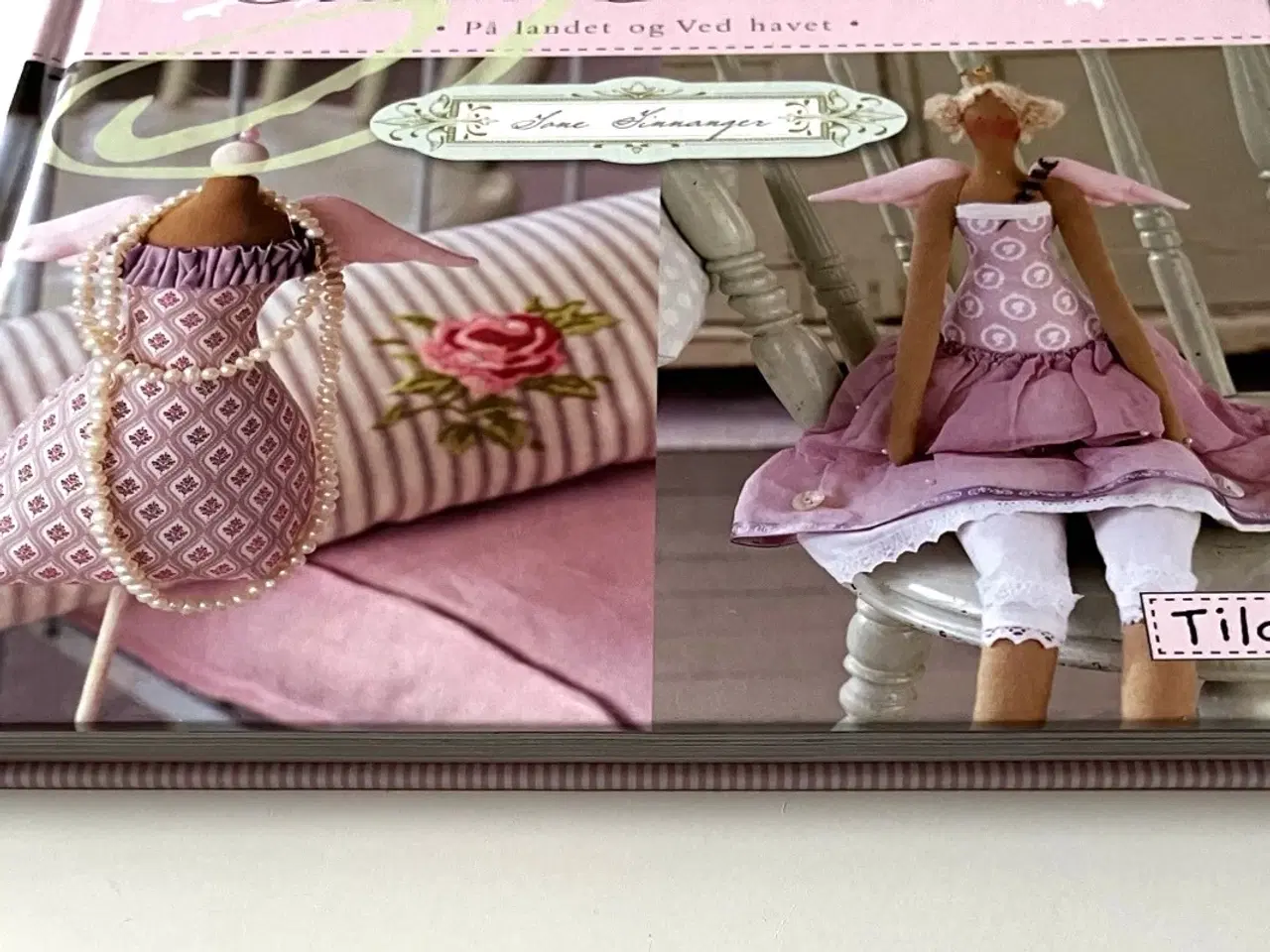 Billede 8 - Tildas landsted. Av Tone Finnanger (Norsk)