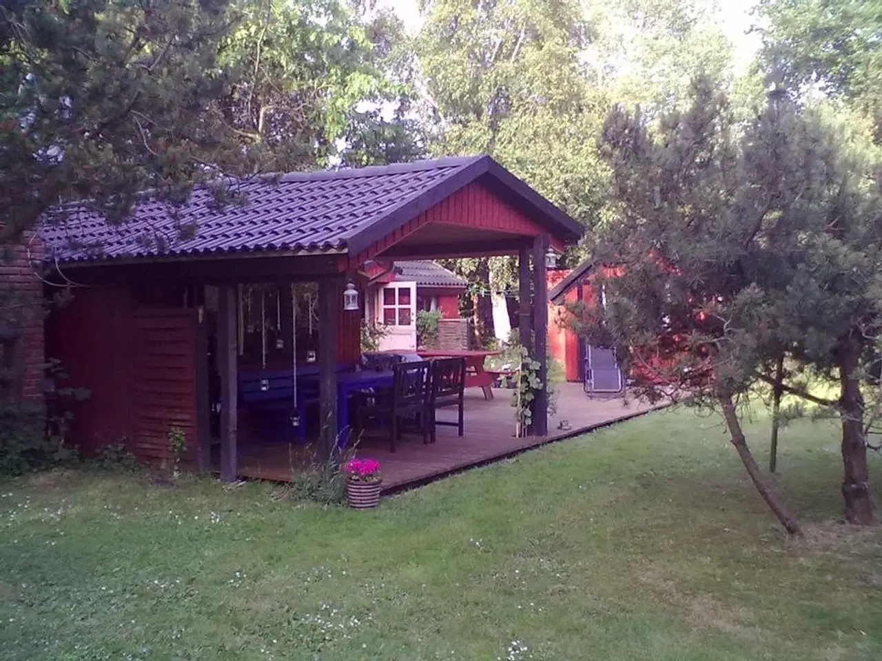 Billede 1 - Lille hyggeligt sommerhus p� M�n, velegnet til 2-3 personer eller familie med 1-2 b�rn