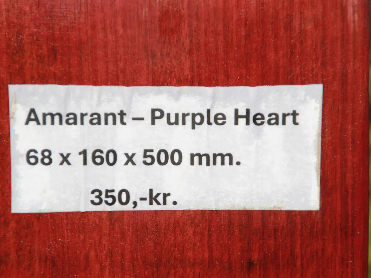 Billede 1 - Amarant Purple Heart