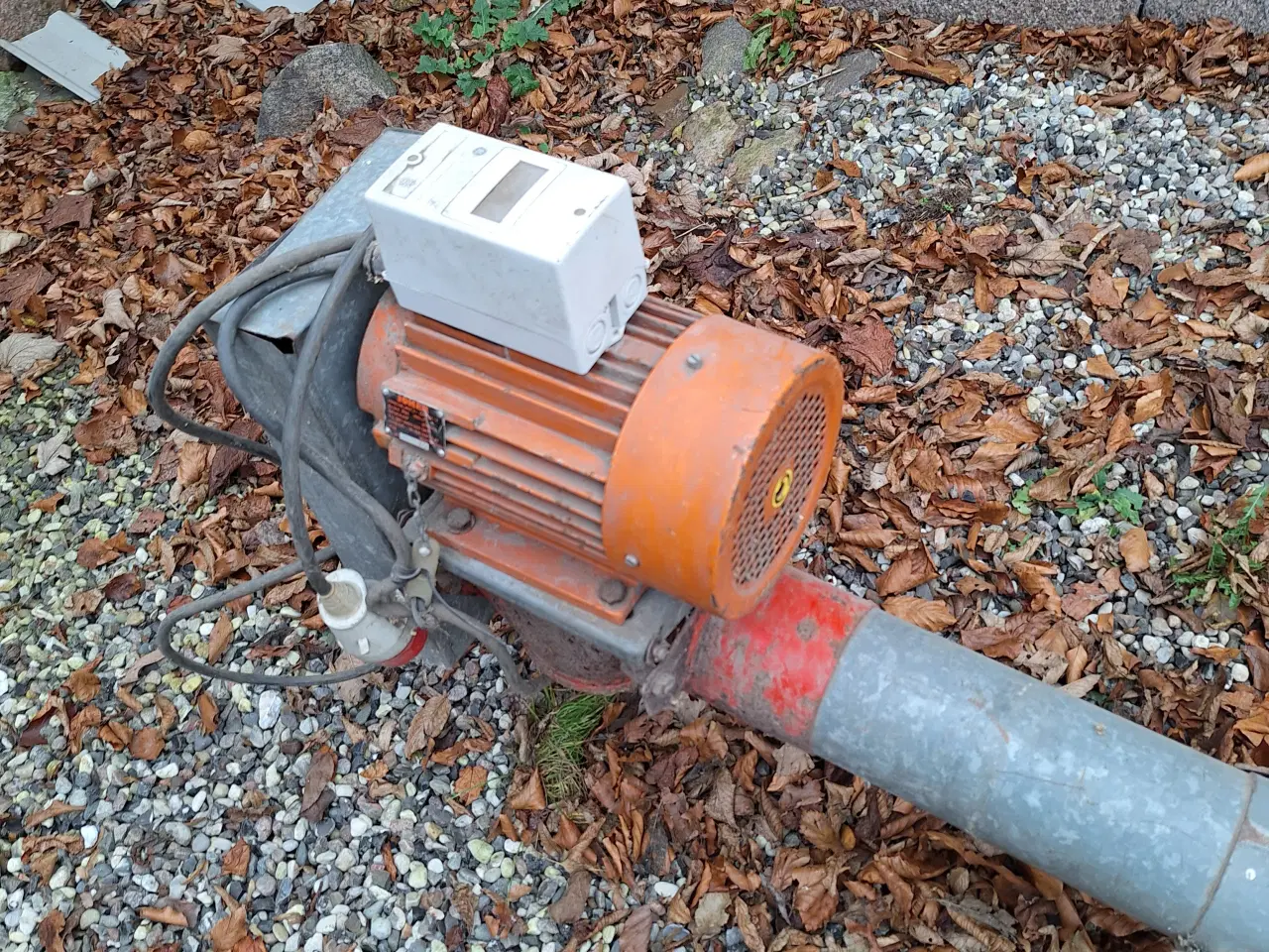 Billede 3 - Stor Kornsnegl "virker"