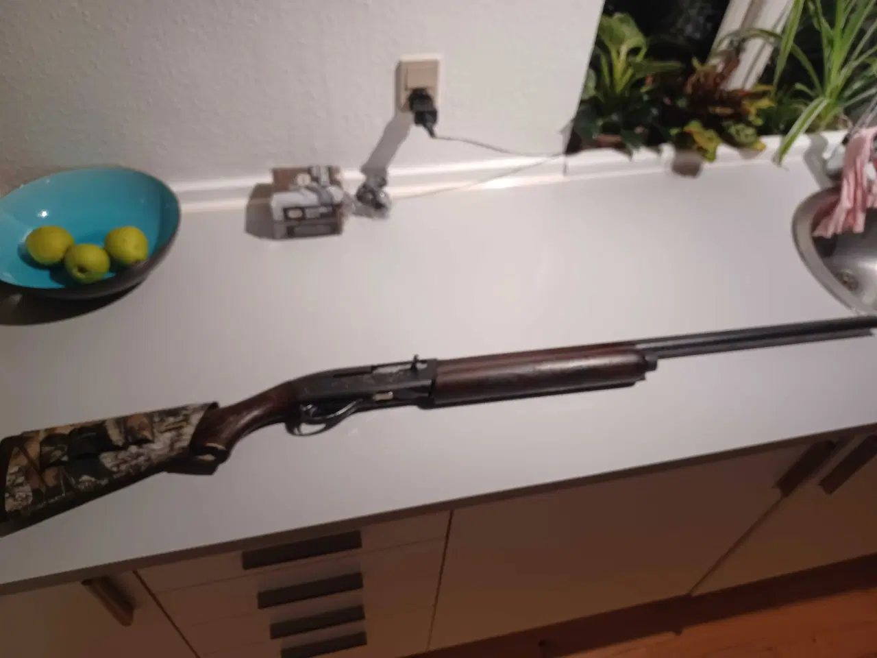 Billede 7 - Våben plus våbenskab og ammunition,foderal.